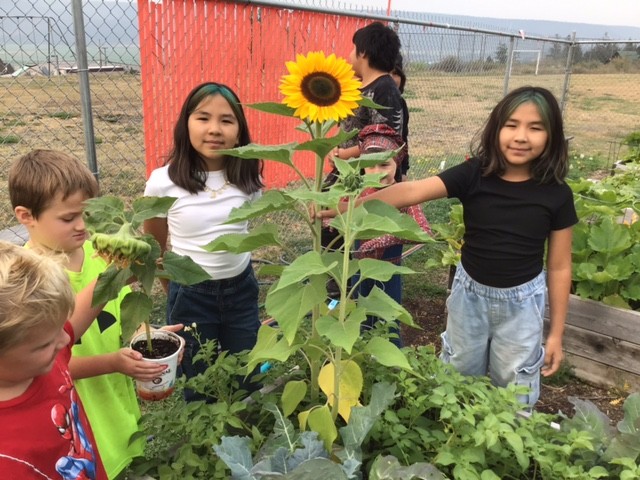 Garden Science 1 helen wight